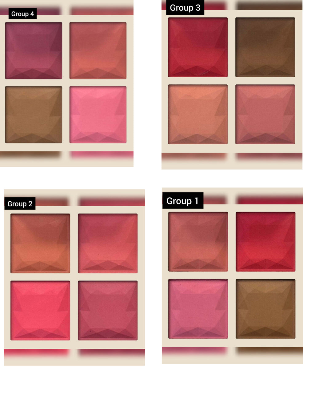 Clazona Blush palette 4 IN 1